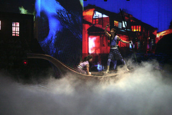 Cirque acrobatique de Shanghai